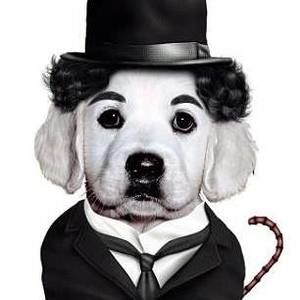 Meet your Posher, Zora